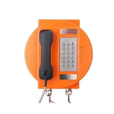 Téléphone analogique résistant à l'explosion de la station d'appel publique extérieure avec protection IP66, clavier en acier inoxydable et amplificateur intégré de 30 W
