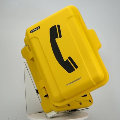 Systèmes audio et industriels de porte d'entrée de téléphone de VoIP au-dessus de CE de VOIP avec la caméra